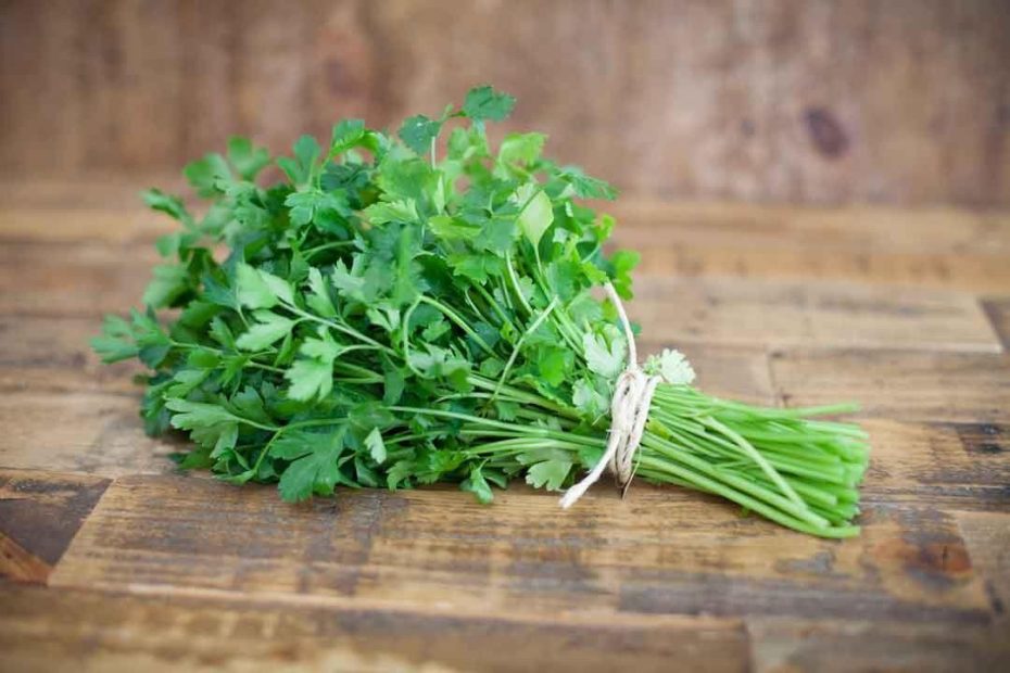 كلمة السر هي من الخضار مكون من 6 حروف – خضار من 6 احرف